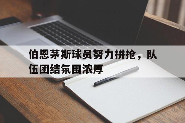 伯恩茅斯球员努力拼抢，队伍团结氛围浓厚的简单介绍